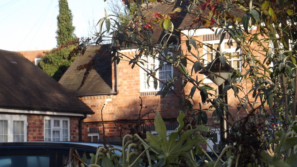 The Peacock Townhouse Hotel Kenilworth - Warwick ภายนอก รูปภาพ